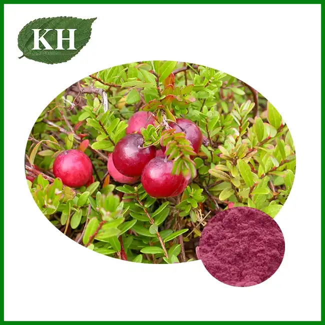 Cranberry Juice Powder — ZAC Biotech Co., Ltd.